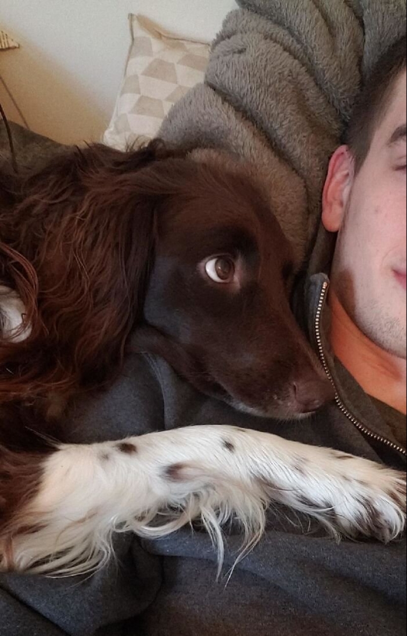 40 dogs and cats whose eyes glow with love and adoration