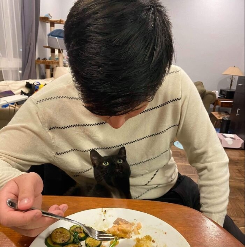 40 dogs and cats whose eyes glow with love and adoration