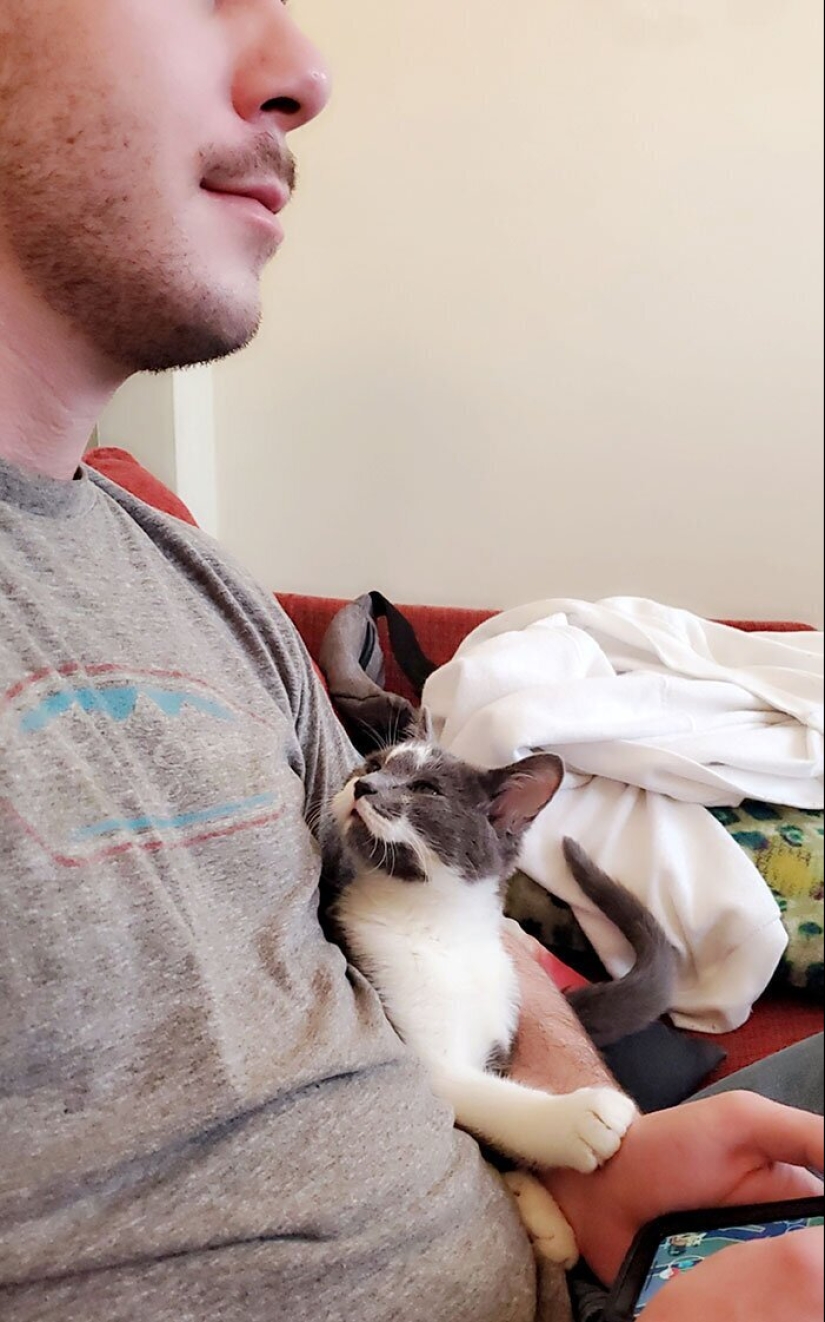 40 dogs and cats whose eyes glow with love and adoration