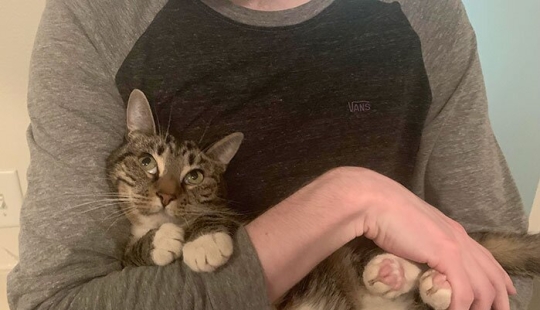 40 dogs and cats whose eyes glow with love and adoration