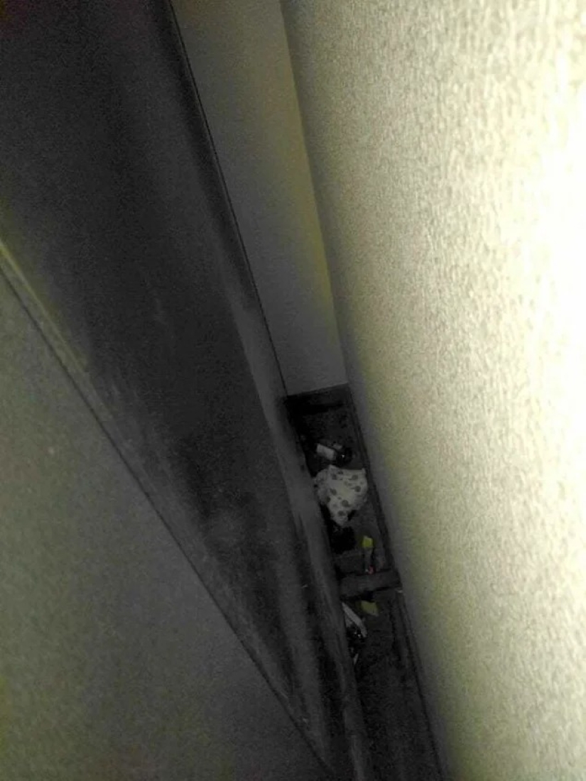 40 ejemplos de terribles huéspedes de hoteles y apartamentos alquilados