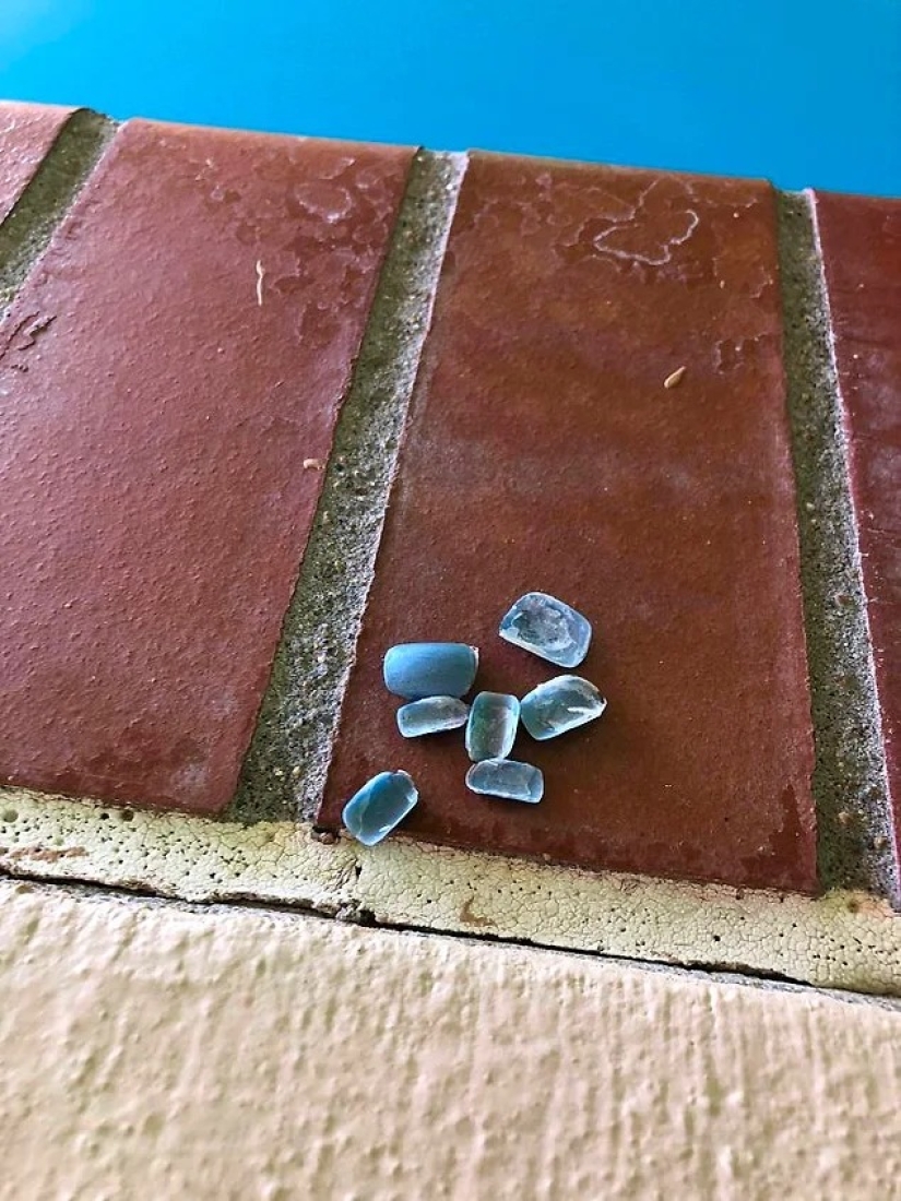 40 ejemplos de terribles huéspedes de hoteles y apartamentos alquilados