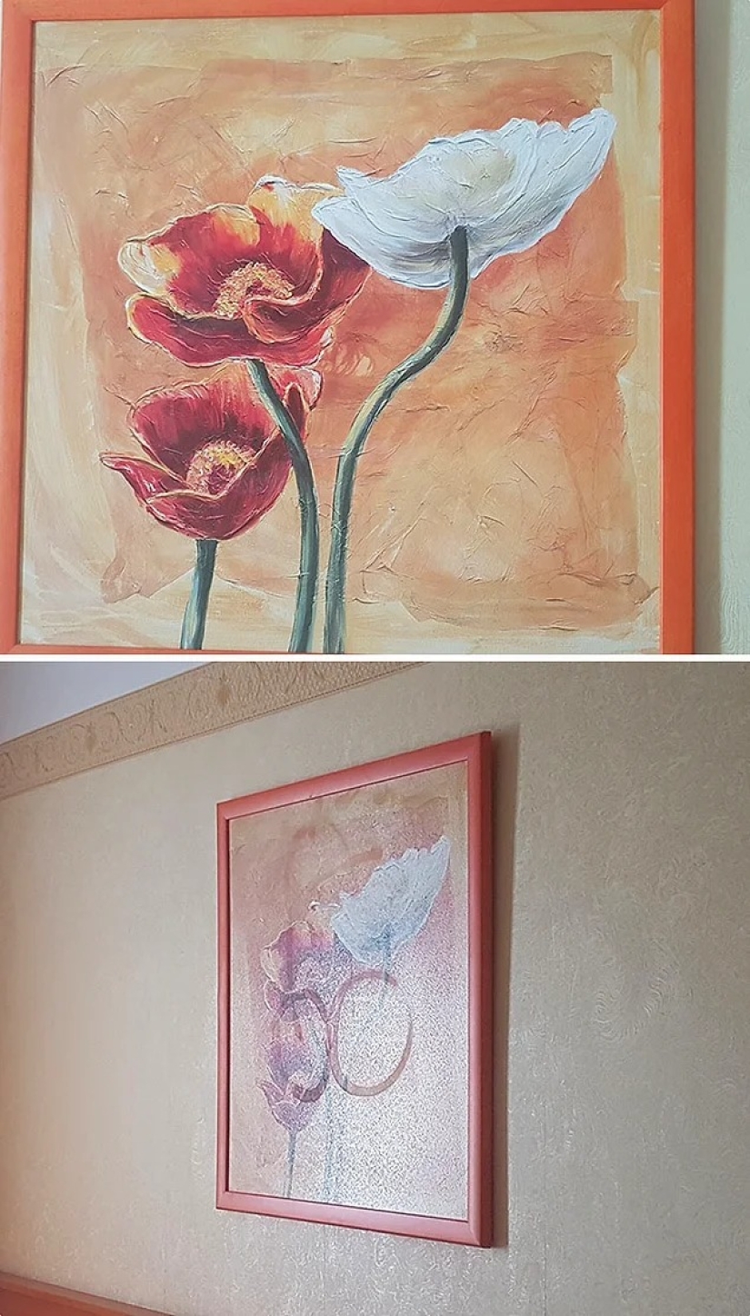 40 ejemplos de terribles huéspedes de hoteles y apartamentos alquilados