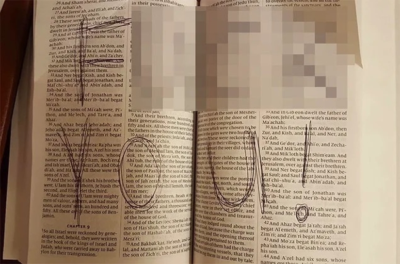 40 ejemplos de terribles huéspedes de hoteles y apartamentos alquilados