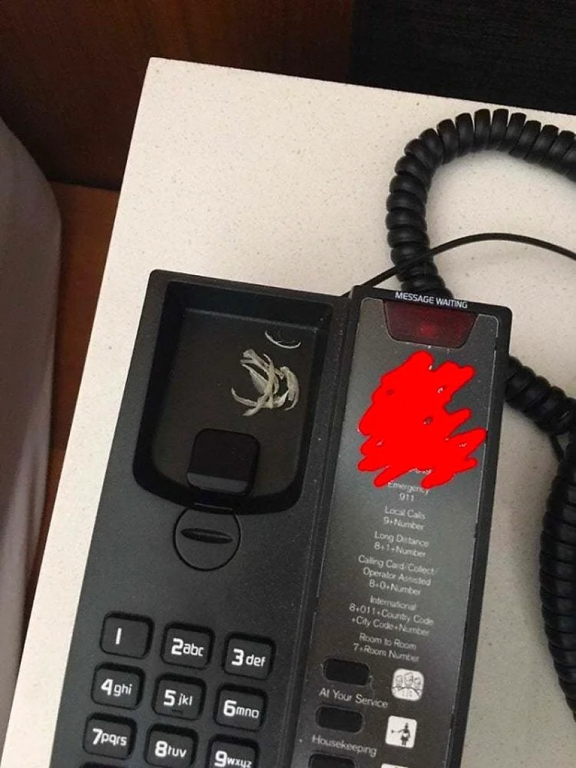 40 ejemplos de terribles huéspedes de hoteles y apartamentos alquilados