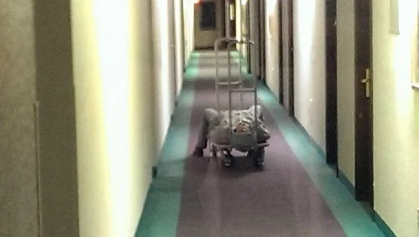 40 ejemplos de terribles huéspedes de hoteles y apartamentos alquilados