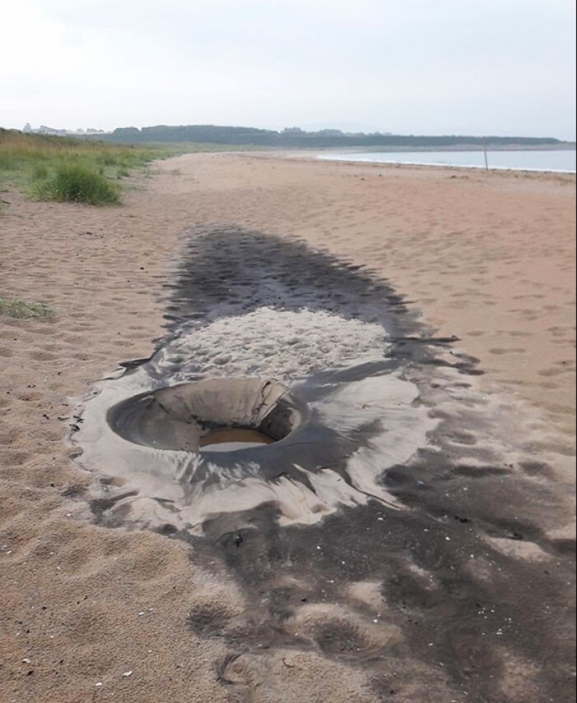 40 entertaining answers to the question "What happens if?"