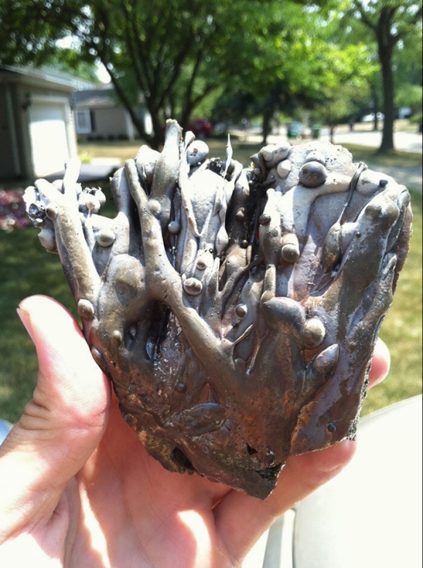 40 entertaining answers to the question "What happens if?"