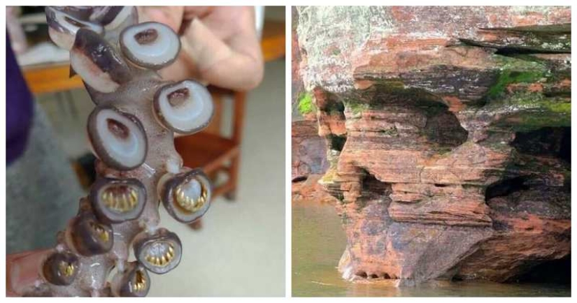 40 frightening photos from the community of scary Creepy lovers 40 frightening photos from the community of scary Creepy lovers