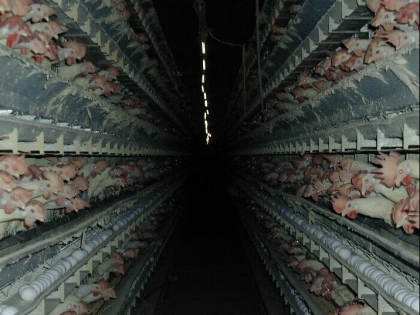 40 frightening photos from the community of scary Creepy lovers 40 frightening photos from the community of scary Creepy lovers