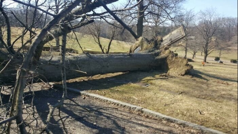 40 frightening photos from the community of scary Creepy lovers 40 frightening photos from the community of scary Creepy lovers