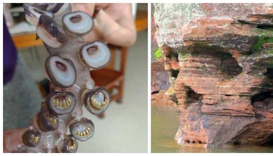 40 frightening photos from the community of scary Creepy lovers