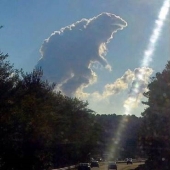 40 images to lift your mood