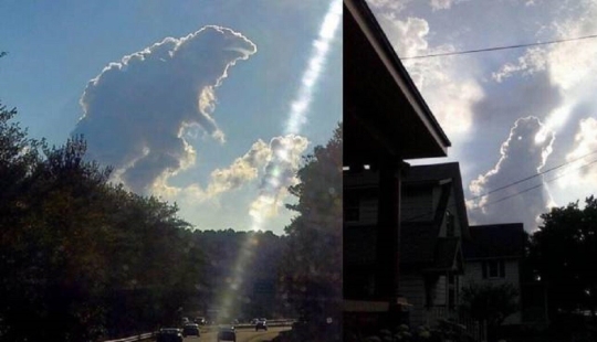 40 images to lift your mood 40 images to lift your mood