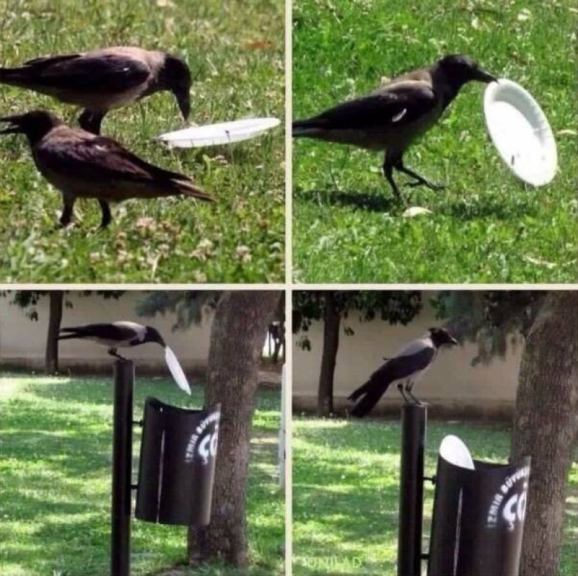 40 imágenes para mejorar tu estado de ánimo 40 imágenes para mejorar tu estado de ánimo