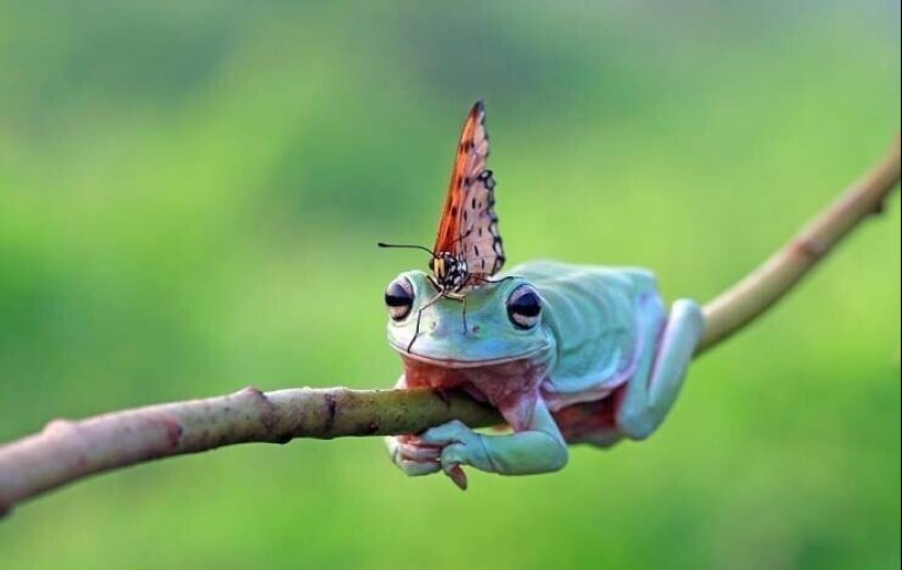 40 imágenes para mejorar tu estado de ánimo 40 imágenes para mejorar tu estado de ánimo