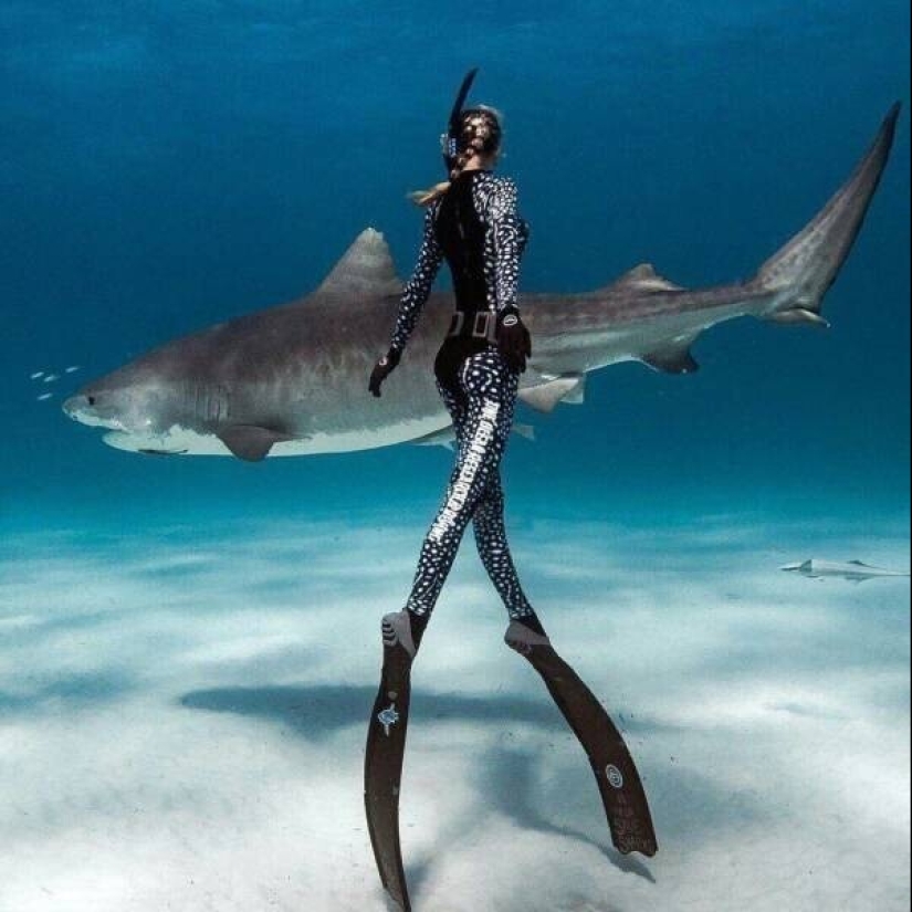 40 imágenes para mejorar tu estado de ánimo 40 imágenes para mejorar tu estado de ánimo