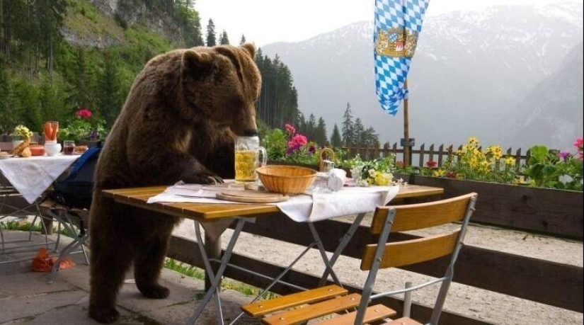 40 imágenes para mejorar tu estado de ánimo 40 imágenes para mejorar tu estado de ánimo