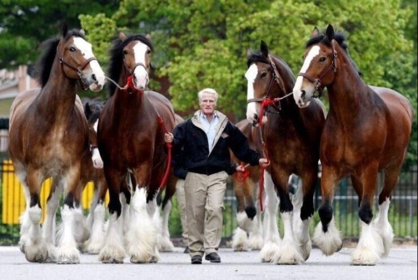 40 imágenes para mejorar tu estado de ánimo 40 imágenes para mejorar tu estado de ánimo