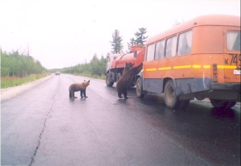 40 imágenes para mejorar tu estado de ánimo 40 imágenes para mejorar tu estado de ánimo