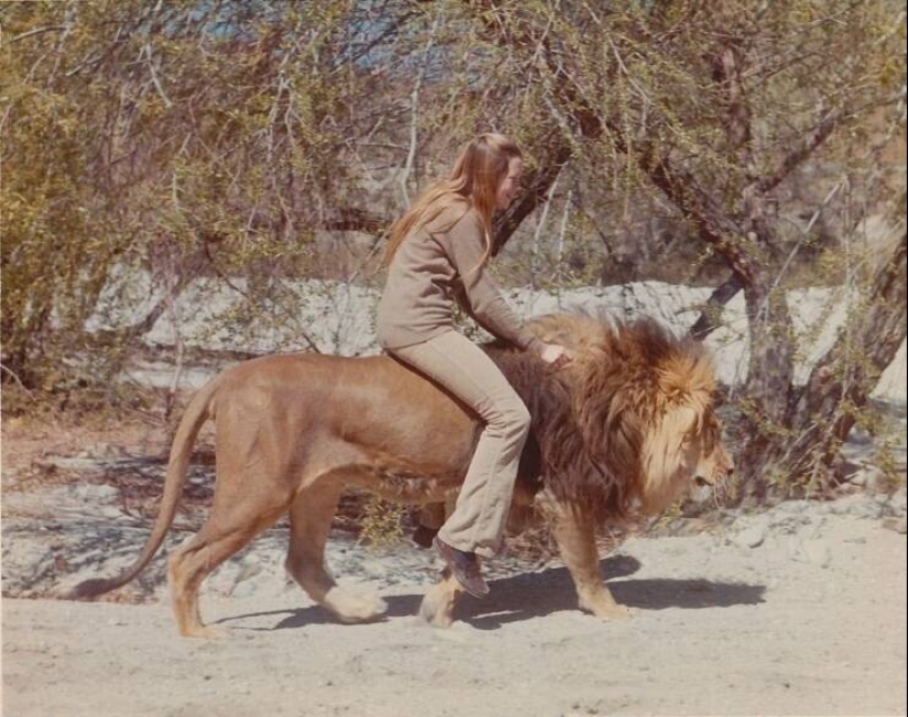 40 imágenes para mejorar tu estado de ánimo 40 imágenes para mejorar tu estado de ánimo