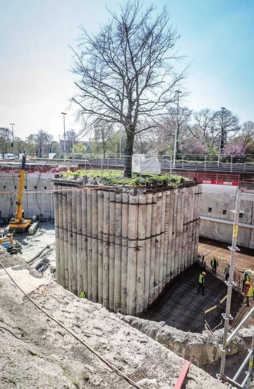 40 imágenes para mejorar tu estado de ánimo 40 imágenes para mejorar tu estado de ánimo