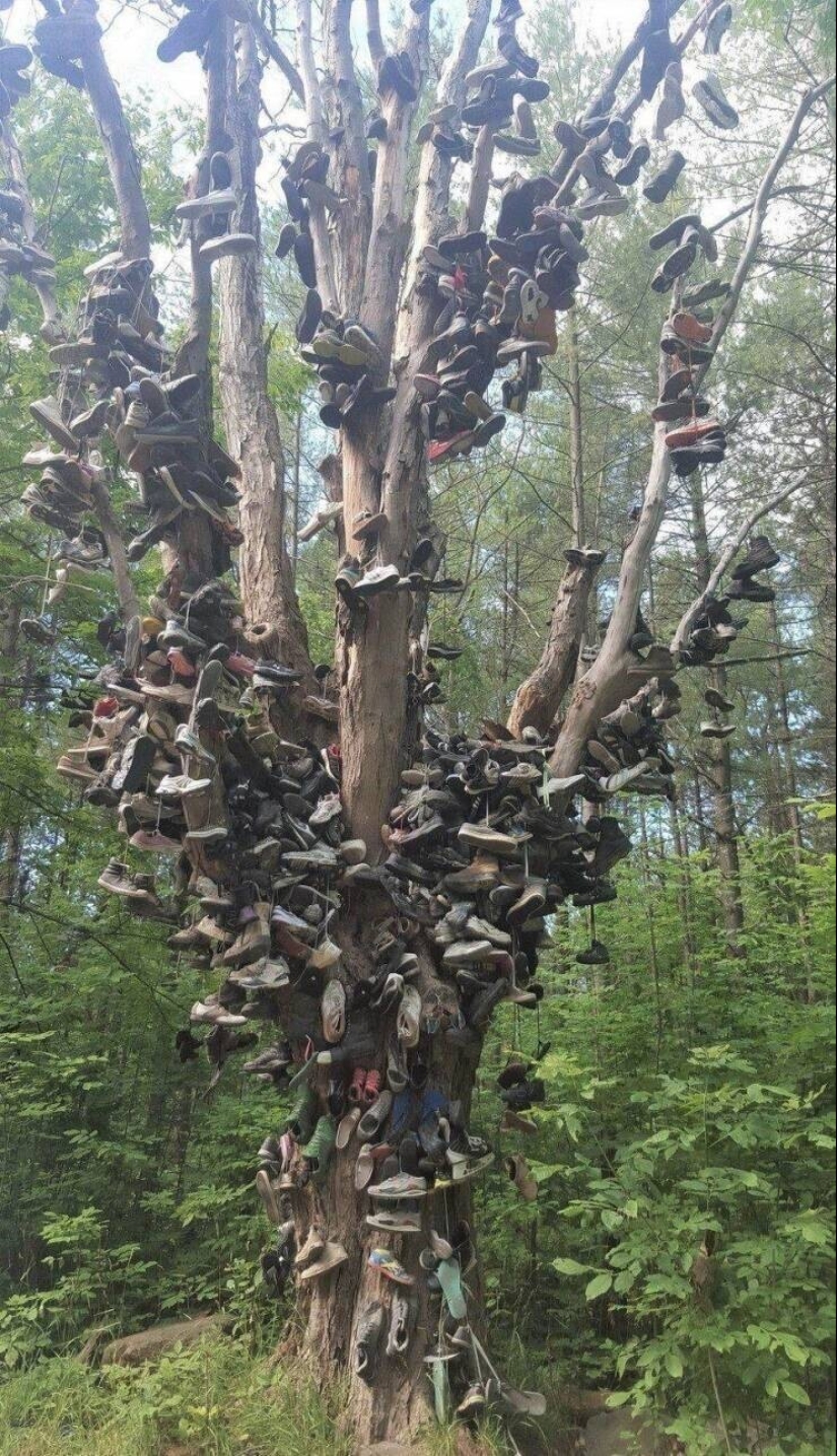 40 imágenes para mejorar tu estado de ánimo 40 imágenes para mejorar tu estado de ánimo