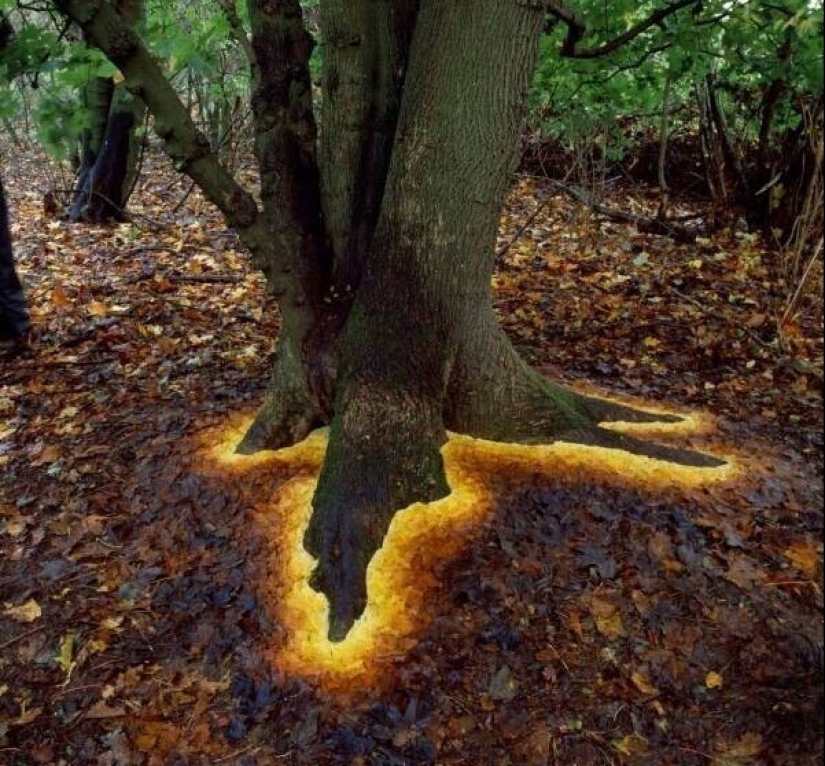 40 imágenes seleccionadas para una pequeña distracción 40 imágenes seleccionadas para una pequeña distracción