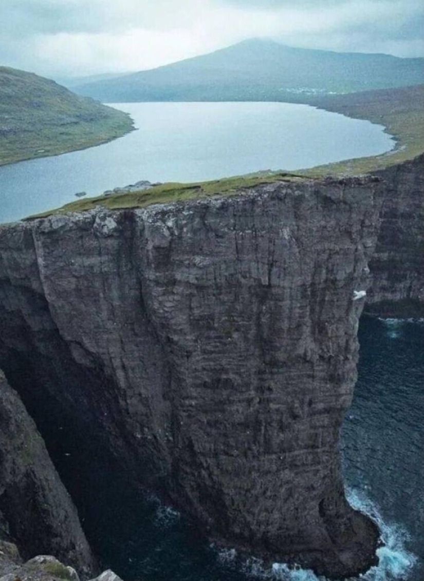 40 imágenes seleccionadas para una pequeña distracción 40 imágenes seleccionadas para una pequeña distracción