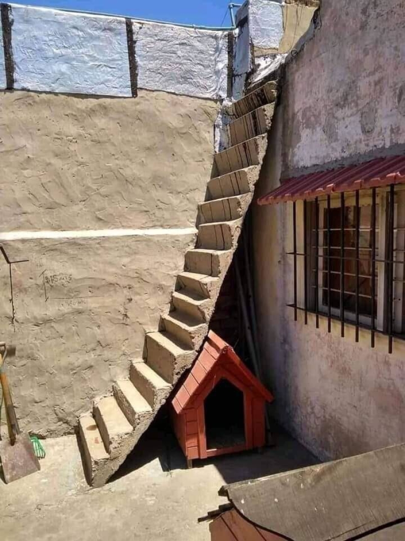 40 imágenes seleccionadas para una pequeña distracción 40 imágenes seleccionadas para una pequeña distracción