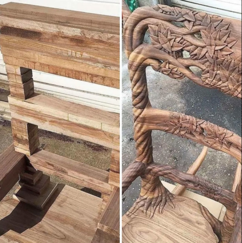 40 increíbles comparaciones: mirar con nuevos ojos familiar