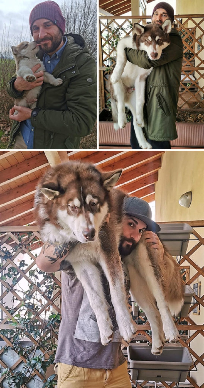 40 increíbles comparaciones: mirar con nuevos ojos familiar