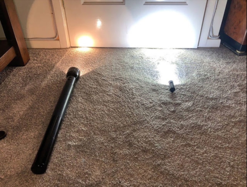 40 increíbles comparaciones: mirar con nuevos ojos familiar