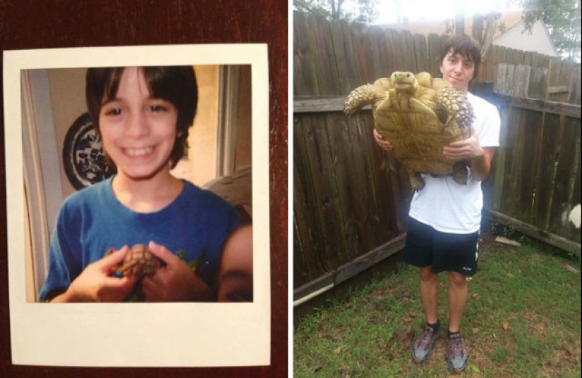 40 increíbles comparaciones: mirar con nuevos ojos familiar