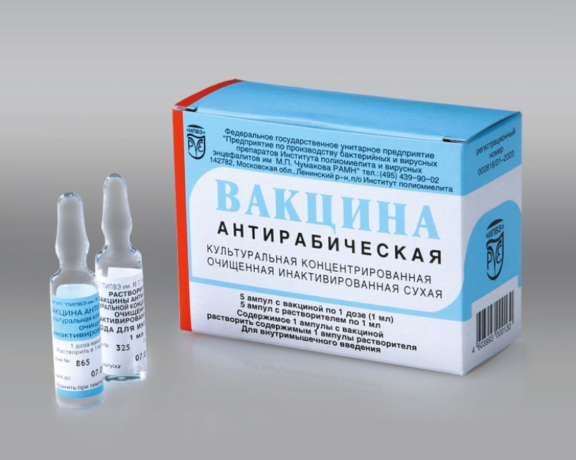 40 injections in the stomach, or the whole truth about rabies vaccinations