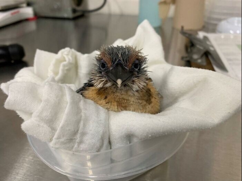 40 interesting and surprising facts from the Reddit community "Today I found out" 40 interesting and surprising facts from the Reddit community "Today I found out"