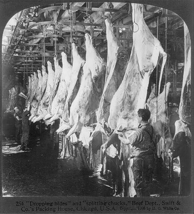 40 interesting and surprising facts from the Reddit community "Today I found out" 40 interesting and surprising facts from the Reddit community "Today I found out"