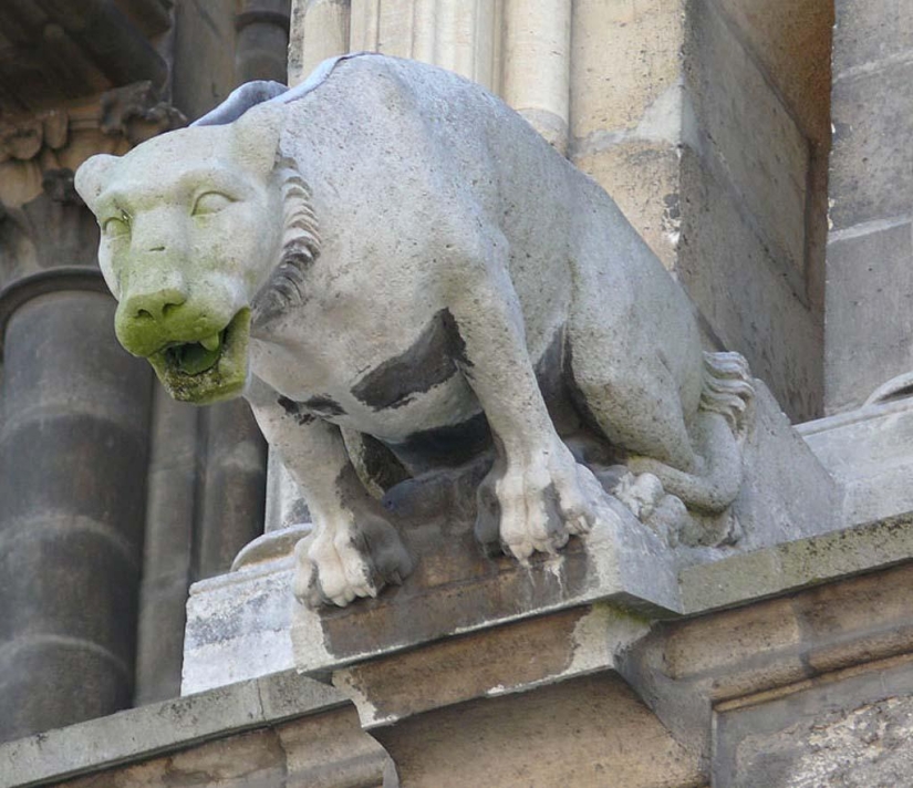 40 of the most outstanding gargoyles in the world