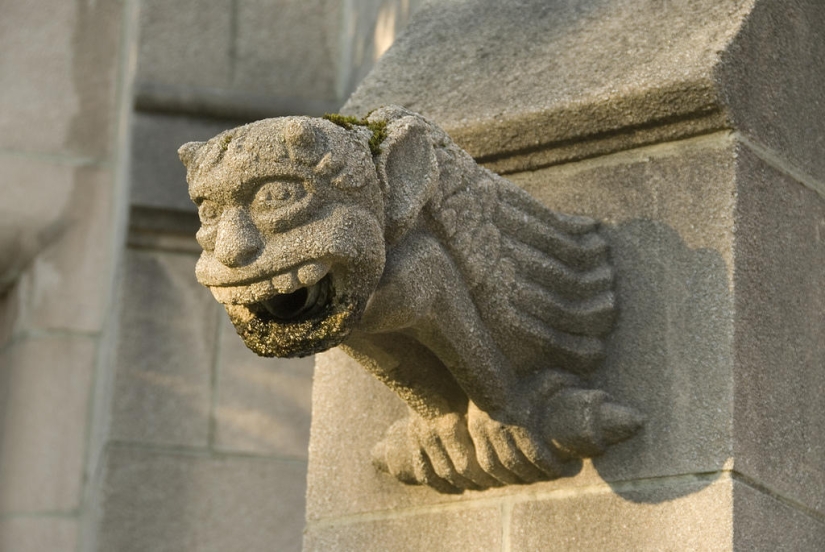 40 of the most outstanding gargoyles in the world