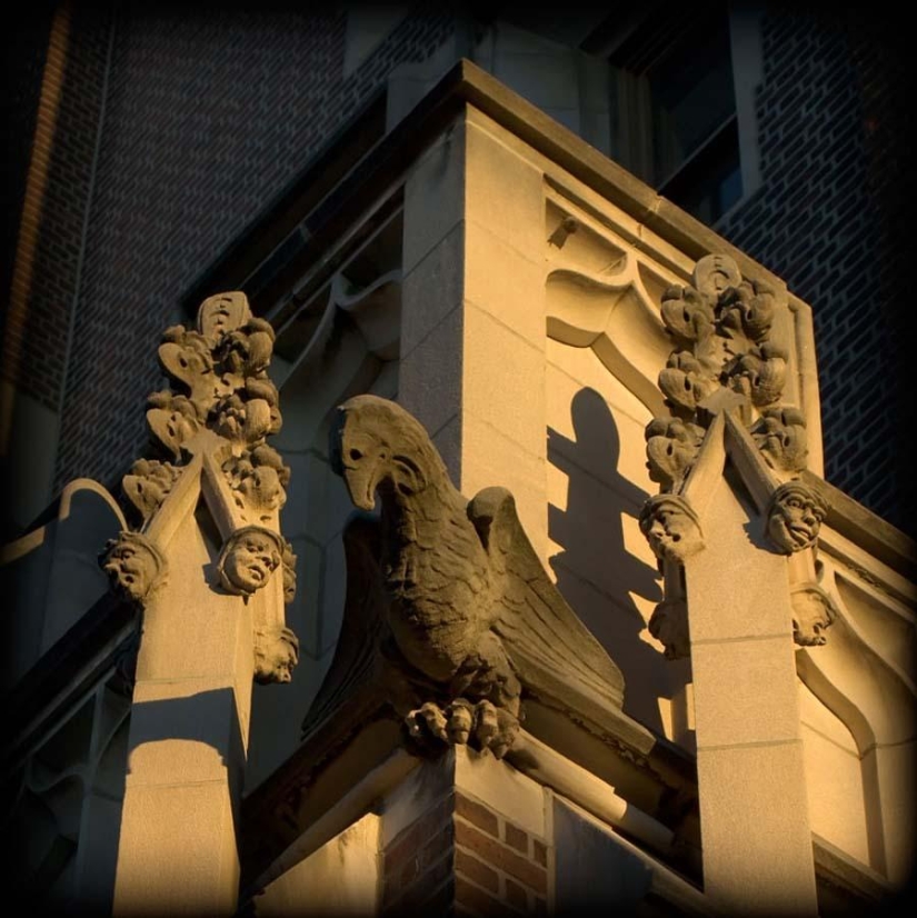 40 of the most outstanding gargoyles in the world