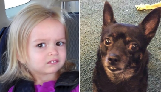 40 people and things whose similarity is off the scale