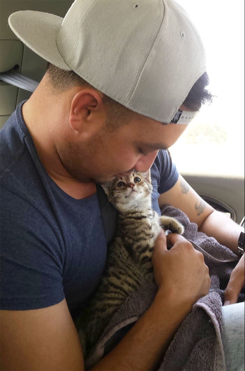 40 perros y gatos cuyos ojos brillan con amor y adoración 40 perros y gatos cuyos ojos brillan con amor y adoración