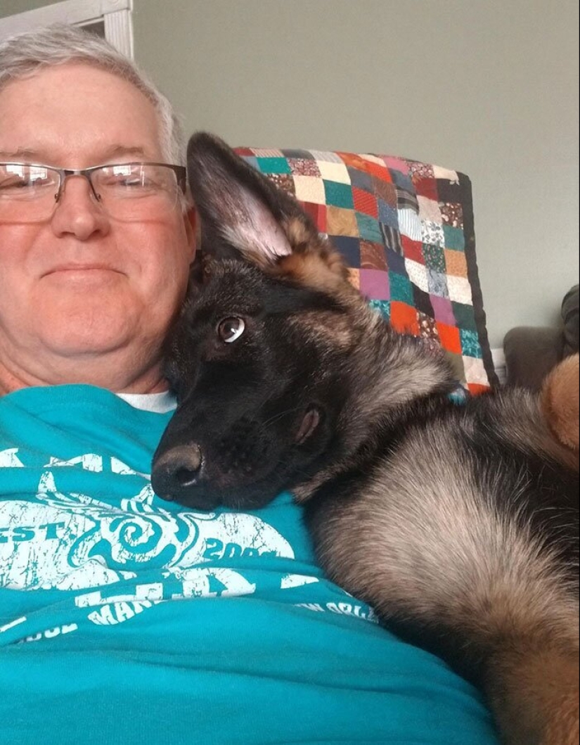 40 perros y gatos cuyos ojos brillan con amor y adoración 40 perros y gatos cuyos ojos brillan con amor y adoración