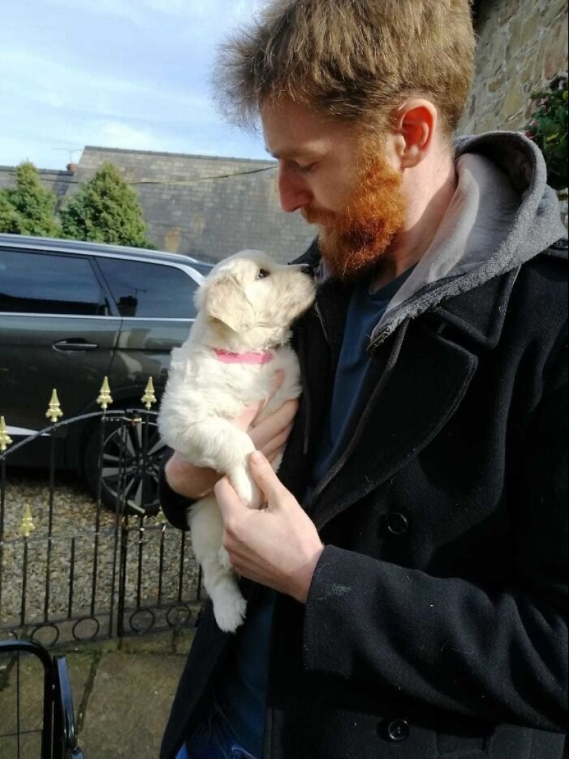 40 perros y gatos cuyos ojos brillan con amor y adoración 40 perros y gatos cuyos ojos brillan con amor y adoración