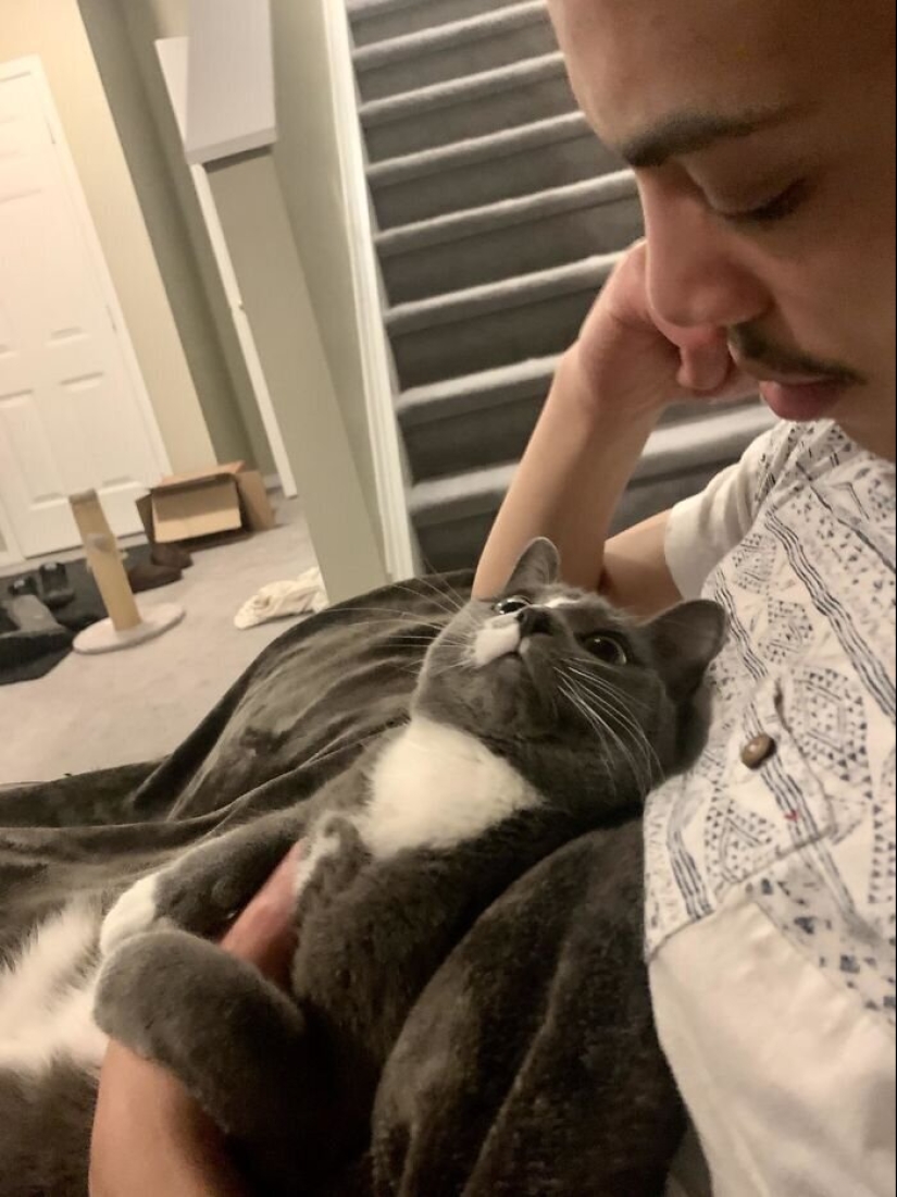 40 perros y gatos cuyos ojos brillan con amor y adoración 40 perros y gatos cuyos ojos brillan con amor y adoración