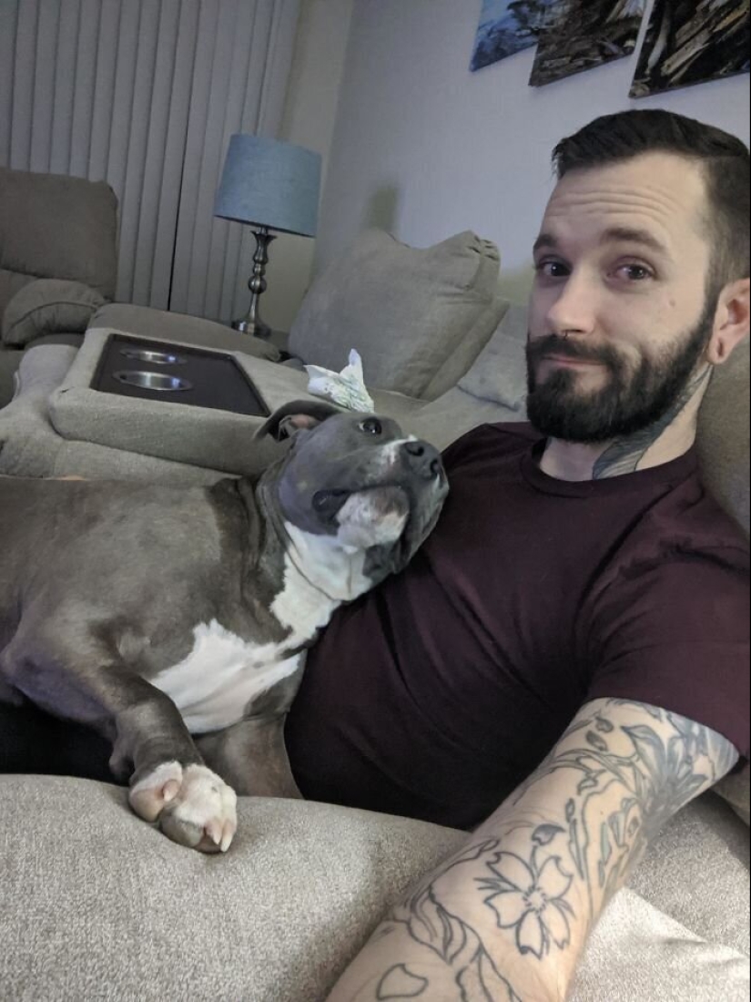 40 perros y gatos cuyos ojos brillan con amor y adoración 40 perros y gatos cuyos ojos brillan con amor y adoración