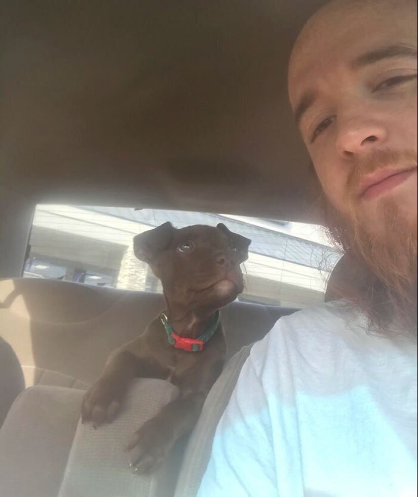 40 perros y gatos cuyos ojos brillan con amor y adoración 40 perros y gatos cuyos ojos brillan con amor y adoración