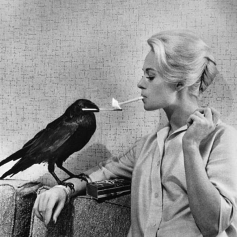 40 portraits of the most charismatic celebrities of the 20th century by Philip Halsman