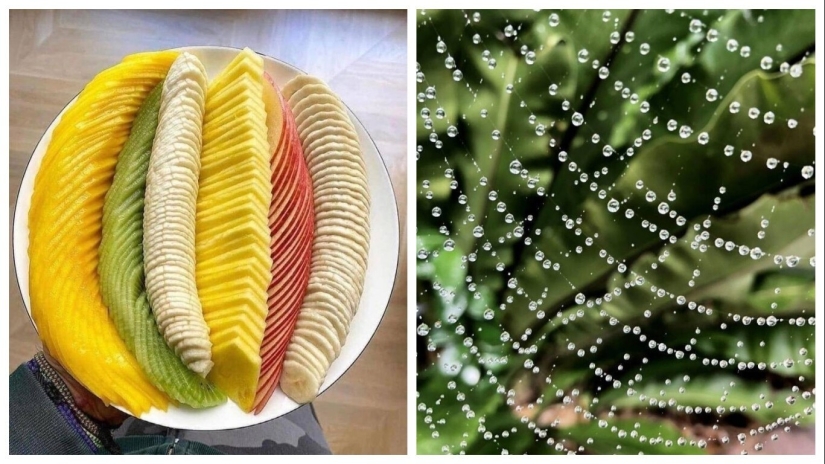 40 selected images for a little distraction