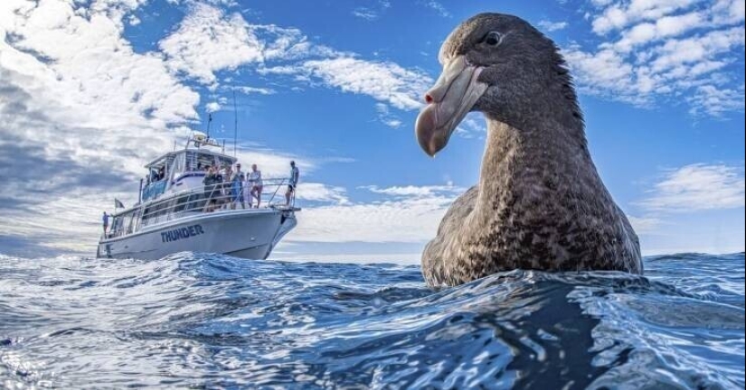 40 selected images for a little distraction